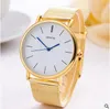 Mode Casual Horloges Simple Quartz Gold Silver Net Strap Horloges Geneva Horloges Quartz Polshorloge voor Mannen DHL GRATIS