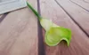 Largo 6 "* 3.5" Latex Calla Lily Flores Artificiales Color Blanco Flores Decorativas Artificial Lily Wedding Party Decoraciones para Eventos 20 unids