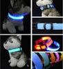 arnês de cães iluminados