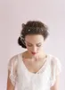 Romantisk Birdcage Bridal Face Veil Beaded Wedding Veil med Comb Tillbehör Elfenben Bridal Veil Party Tillbehör
