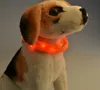 nieuwste 2023 Cut USB Charge Dog Training Collar LED Outdoor Lichtgevende oplader Huisdier Halsbanden licht Verstelbare 6 kleuren LED knipperende halsband