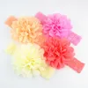 50 pezzi di copricapo per bambini, accessori per fiori, chiffon da 4 pollici con morbide fasce elastiche in pizzo, fascia per capelli elastica