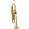New Beginner Paint Gold Drop B Adjustable Bb Trumpet With Mouthpiece Case Kit for Student School Band Golden2649487