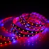 5050 60LED / M Plant Groeiende Strip Licht LED Greenhouse Light voor Indoor Gebruik Red Blue Strip