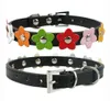 Moda 6 Colori 4 Taglie Pelle Pelle Pelle Pet Cane Collar Collana Collana con scollo a Cat Collana con G1012 con borgo