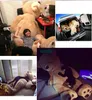 Dorimytrader Jumbo Sorrindo Urso Brinquedo Grande Stuffed Ursos De Pelúcia Macia Boneca Grande Presente Do Amante Do Bebê Decoração DY61019