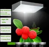 48 LED Solar Powered Light PIR Motion Sensor Wall lamps Outdoor Path Emergency Lamp Security Spot Light