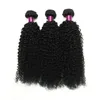 Brésilien Crépus Bouclés Cheveux Humains 3PcsLot Brésilien Cheveux Humains Tisse Ondulés Crépus Bouclés Extensions de Cheveux 8A Remy Brazilina Bouclés Wef3294875