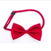 large and small dog collar nylon bow tie webbing pet collar safety necklace pet neck collars leashes pet cute necktie2068