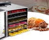 commercieel fruit uit dehydrator