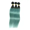 Ombre Human Hair Weaves Virgin Brazilian Hair Bundles Wefts Two Tone Peruvian Indian Malaysian Mongolian Mink Virgin Human Hair Extensions