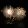 LED String Lights AAA Batterij Powered 2m 20leds Warm Wit Wit Puffer Ball Christmas Light Decoratief voor Indoor Garden Party Party and Holiday Decoration