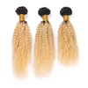 Two Tone 1B 613 Dark Root Ombre Богородица человеческих волос Пучки Afro Kinky завитые С 13 * 4 Blonde уха до уха Кружева Фронтальная Закрытие