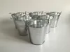 D7.5XH7.5CM Metal cup Planter tin box Iron pots Silvery wedding Succulent Pot mini bucket SF-020S