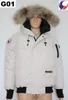2017 Marka MANASEAMON Yeni Moda Ceket Erkekler Kış Sıcak Palto Kaz tüyü Ceket Bombacı Parka Gerçek Coyote Kürk Yaka Kapşonlu G01