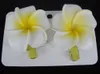 15 Kapalı Hawaiian Florida Plajı Plumeria Düğün Çiçekleri Saç Çiçekleri Köpük Frangipani Çiçek Saçkağı Gelin Saç Klip Kız Saç Acces7336581