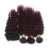 burgundy ombre hair bundles closure