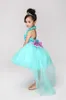 2016 Fille Bleu Ciel Robe De Bal Fleur Filles Robes Pour Mariage Organza Avec Long Train Filles Pageant Robes Pour Petites Filles