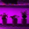 Full Spectrum SMD5050 Led Grow Strip Light NON-waterproof Led Grow Light for Hydroponic Plant Growing Lamp Grow box Red Blue 4:1