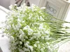 Gypsophila silke baby andedräkt konstgjorda falska silke blommor växt hem bröllopsfest hem dekoration gratis frakt