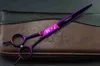 5 colors 7 inch professional hair cutting scissors pet hair scissors purple/black/gold/blue/colorful free shipping