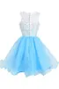 Cheap Homecoming Dresses Lace Top Light Blue Organza Skirt Jewel Neck Sleeveless Short Prom Party Gowns Made to Order High Quality