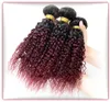 Kinky Curly Virgin Brazilian Burgundy Ombre Human Hair Weves Extensions 1B99J Dark Root Wine Red Ombre Virgin Remy Bundles9316601