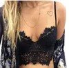 Atacado-Sexy Bra Lace Tube Top Camisa Feminina Plus Size Crop Top Lace Bralette Crochet Hollow Tops Curto Camisole Bandeau Tops