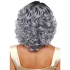 Woodfestival Grand-mère Wig Grey ombre Black Black824548