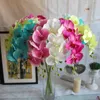 New Arrival Silk Single Stem Spring Series Orchid Artificial Orchids Phalaenopsis for Wedding Centerpiece 5 Colors