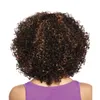 Woodfestival Afro-Amerikaanse Pruik Synthetische Korte Afro Kinky Curly Pruiken voor Zwarte Vrouwen Gemiddelde lengte Vezel Haar
