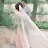 ライトパールピンクの結婚式のベール大聖堂の長さのブライダルベール金の金属製の櫛の注文色2017新しいソフトチュールベールの花嫁のアクセサリー
