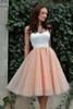New Cheap Homecoming Dressed Short Prom Dresses Tea Length Two Tone White Top Sweetheart Neck with Straps Tulle Skirt Party Gowns