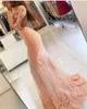 En yeni denizkızı dantel aplikeler uzun kollu yüksek boyunlu balo elbisesi şampanya, deniz kızı gece elbisesi vestatura foratura4573959