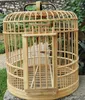 Gabbia per uccelli di bambù di spedizione gratuita Gabbia per tordi per storno Gabbia per uccelli sanitari 32 cm Per inviare un set completo di accessori