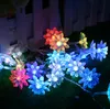 Feenhafte 5m Lotosblumen führten Schnurgirlandenlicht Weihnachtsneues Jahr Hochzeitsfeiertags-Partyausgangsluminaria-Dekorationslampe