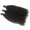 Bulks Cambodian Afro Kinky Human Hair Bulk 3 Bunds Natural Color Curly Braiding Hair Bulk For Black Women Fdshine