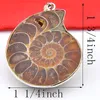 En gros 10 Pièces 1LOT Nouvelle Arrivée Ammonite Naturelle Fossile Gem 925 Sterling Silver USA Israël Mariage Fiançailles Pendentifs Bijoux De Fête