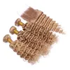 熱い販売の蜂蜜金髪＃27のマレーシアの深い波の人間の髪の束は、髪の織りを持つレースの閉鎖