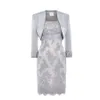 silver lace mother bride dresses