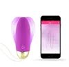 Vibradores app bluetooth controle remoto sem fio salto ovo impermeável forte vibrating ovos sexo vibrador adulto brinquedo produtos sexuais para mulheres