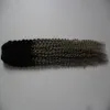 Kinky Curly Virgin Hair Silver Grey Ombre Human Hair Extensions Two Tone Ombre Brazilian Virgin Hair Grey Weave