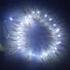 Waterdichte 2M LED AA Batterij Powered LED Copper Wire Fairy String Lights Lampen Indoor Outdoor Flexibele Dyi Verlichting voor Kerstfeest