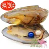 Freshwater Pearl Pearl Oyster Desire Vacuum Förpackning, 6-7 mm Double Circular Pearl Mussel Shells, 28 färger att välja mellan