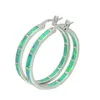 Wholesale & Retail Fashion Blue &White Multicolour Fine Fire Opal Earrings 925 Silver Plated Jewelry EJL1631001
