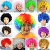 child wigs costume