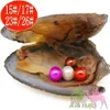 Gratis Verzending Sieraden Geschenken Shell Parels Oesters Vacuüm Verpakt 6-7mm Ronde AAAA100% Natural Pearl Oyster Monster