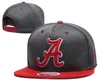 Nowe czapki 2017 College Football czapki z daszkiem czapka szary kolor Norte Dame Team czapki Mix mecz zamówienie wszystkie czapki najwyższej jakości kapelusz hurtowo