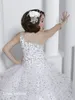 Cute Girl's Pageant Dress Princess Ball Gown Party Cupcake Young Pretty Little Kids Queen Flower Girl Dress