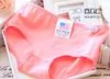 100% cotton panties candy color solid underpants women girl briefs knickers underwear apparel colorful drop shipping